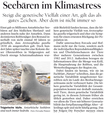 Article in the Tagesspiegel, 2014